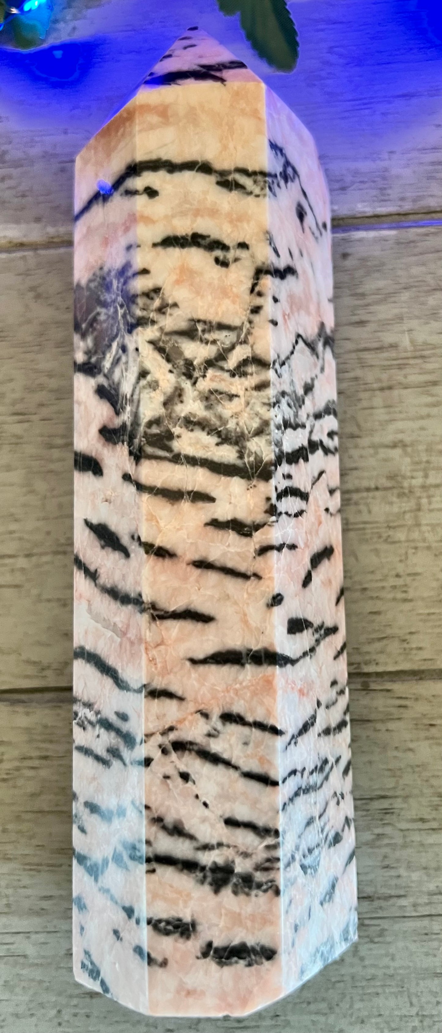 Pink Zebra Jasper Jungle Set