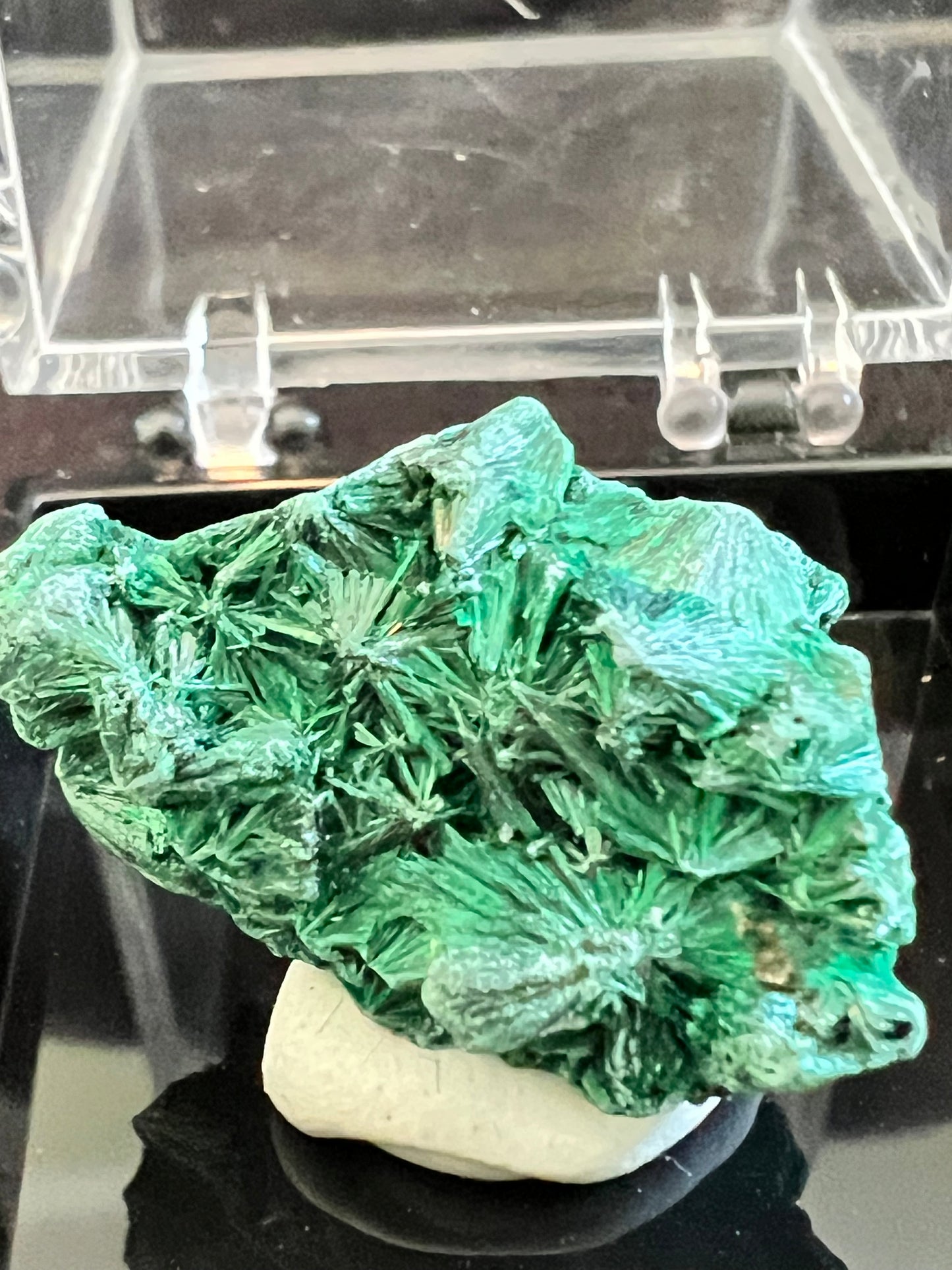 Malachite Specimen C ~ In Specimen Box