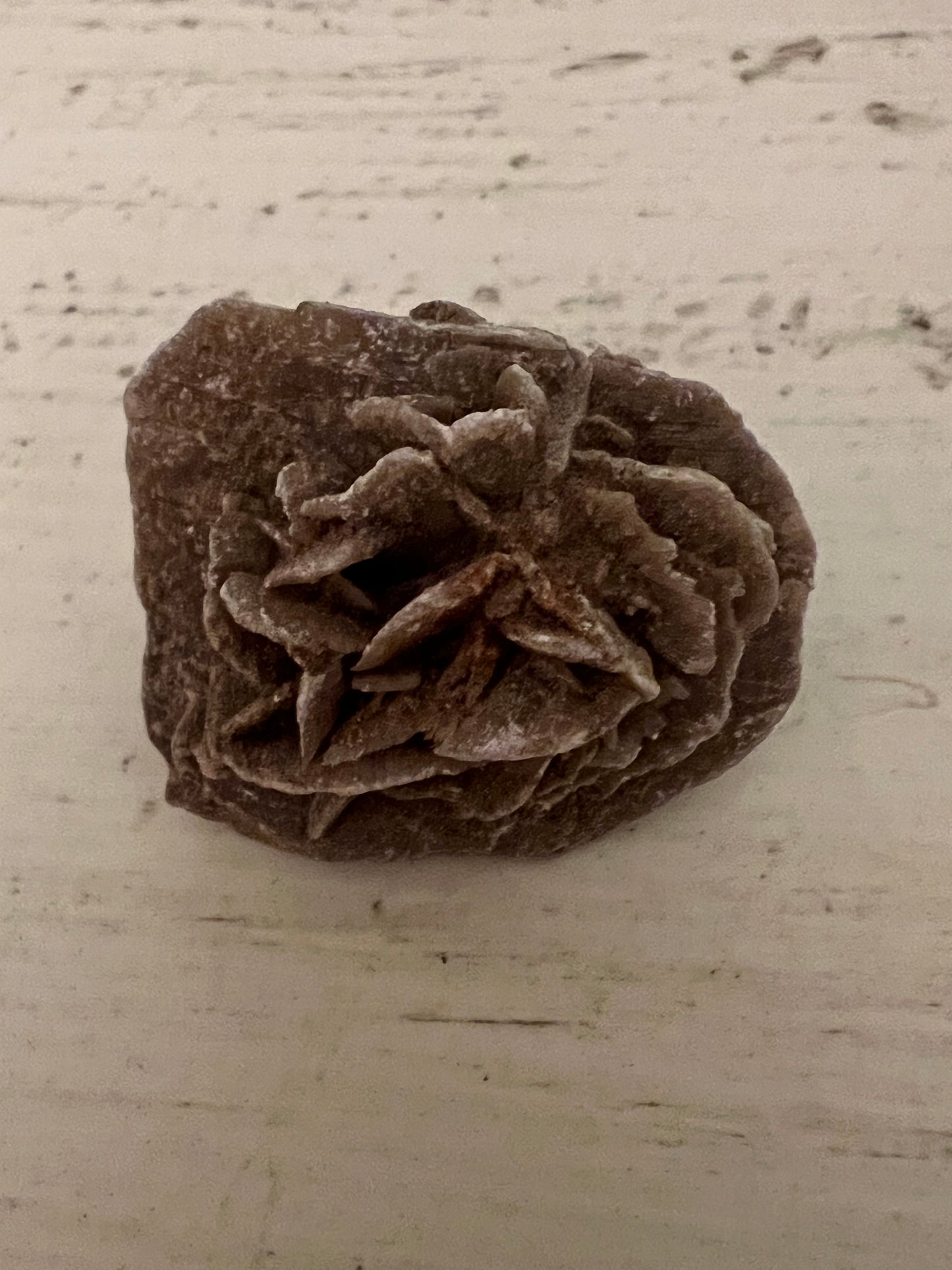 Desert Rose Selenite