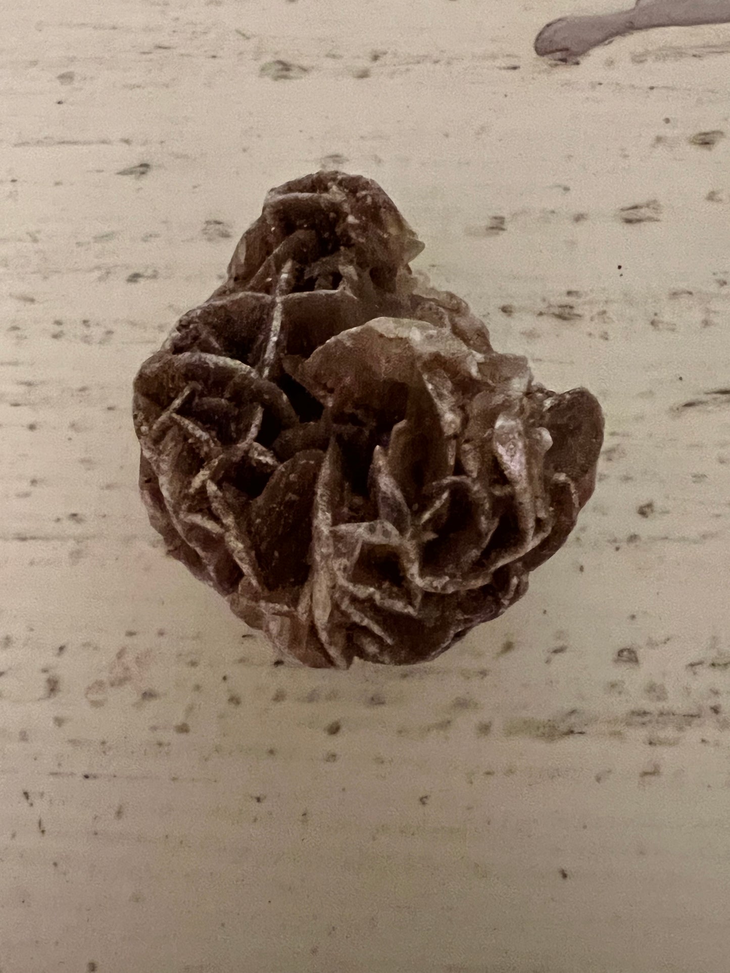 Desert Rose Selenite