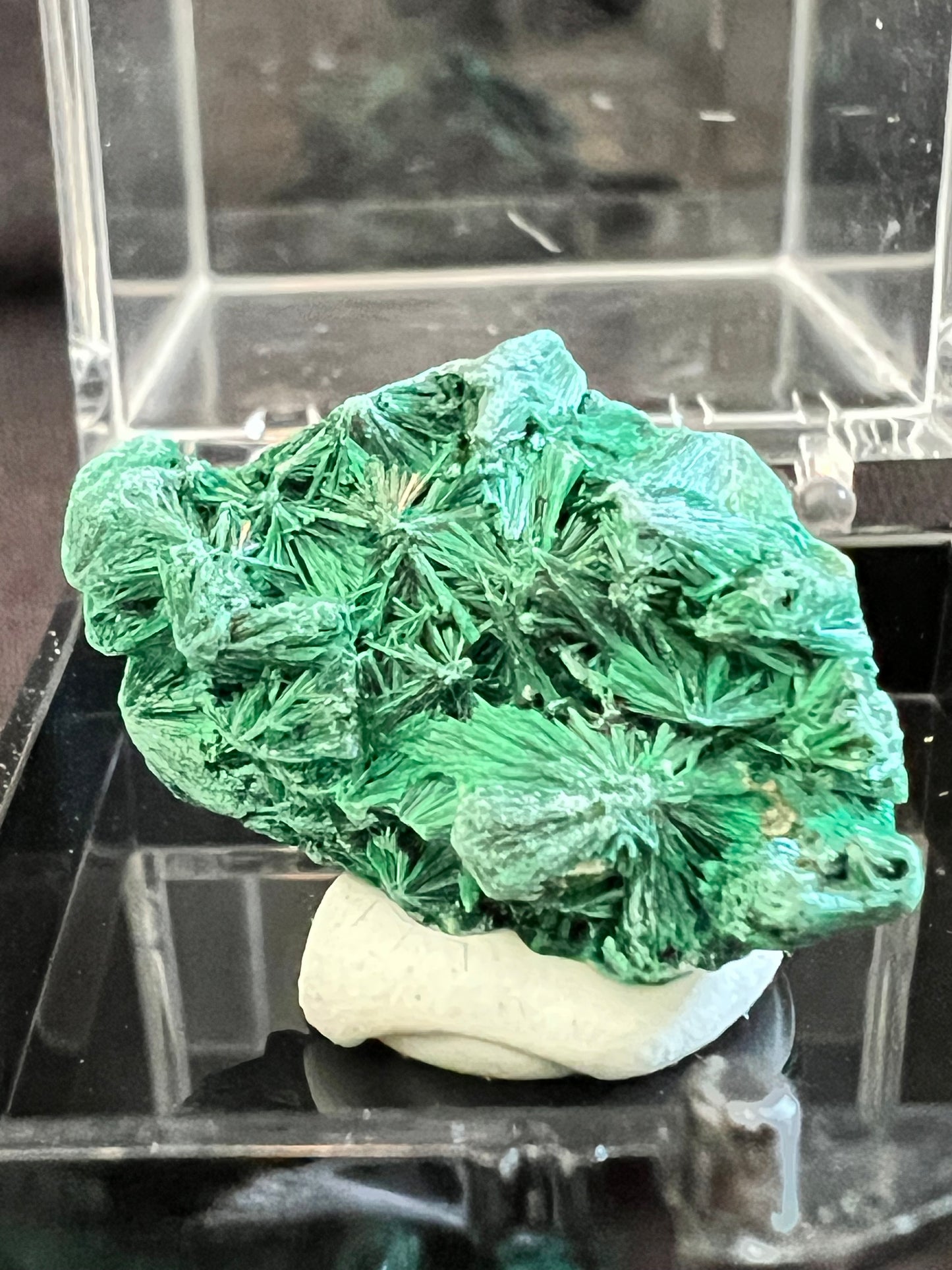 Malachite Specimen C ~ In Specimen Box