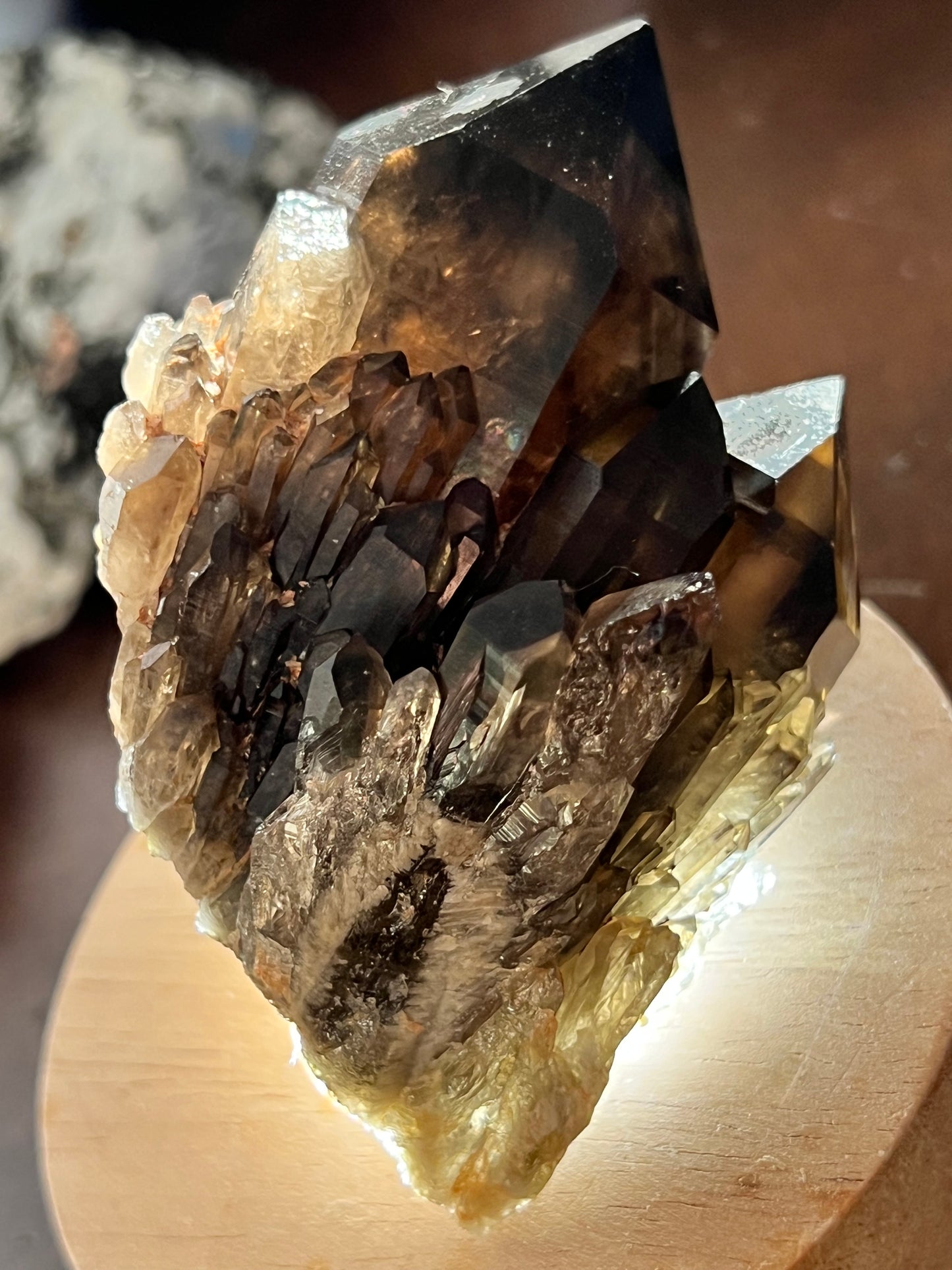 Smoky Quartz Cluster